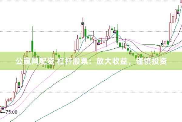 公赢网配资 杠杆股票：放大收益，谨慎投资