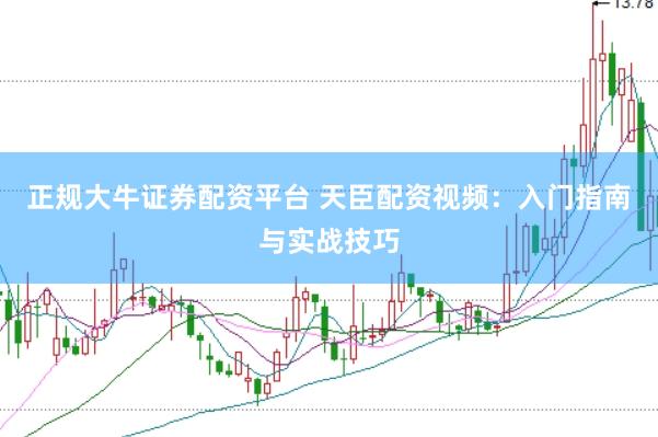 正规大牛证券配资平台 天臣配资视频：入门指南与实战技巧