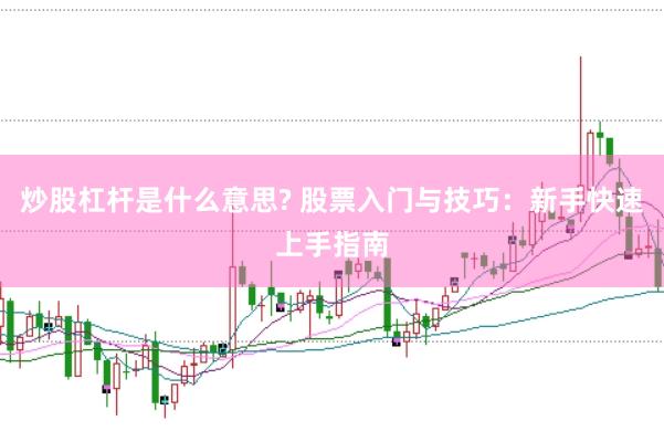 炒股杠杆是什么意思? 股票入门与技巧：新手快速上手指南