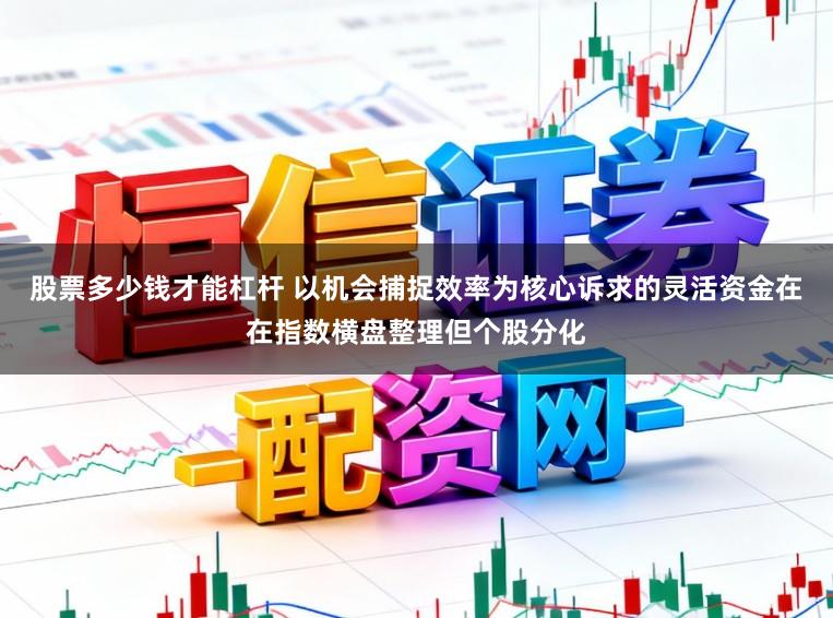 股票多少钱才能杠杆 以机会捕捉效率为核心诉求的灵活资金在在指数横盘整理但个股分化