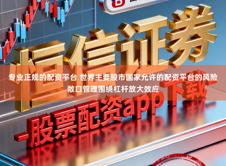专业正规的配资平台 世界主要股市国家允许的配资平台的风险敞口管理围绕杠杆放大效应